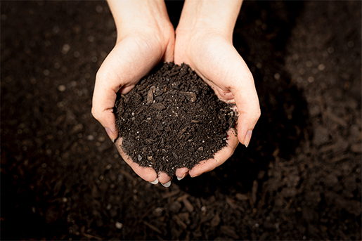 Kompost als natürlicher Dünger zum Erhalt der Bodenfruchtbarkeit