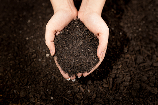 Rasenerde und Pflanzenerde für optimale Bedingungen für Ihre Pflanzen und Rasen